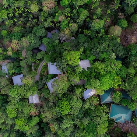 Hotel The Hive, Wayanad Esterno foto