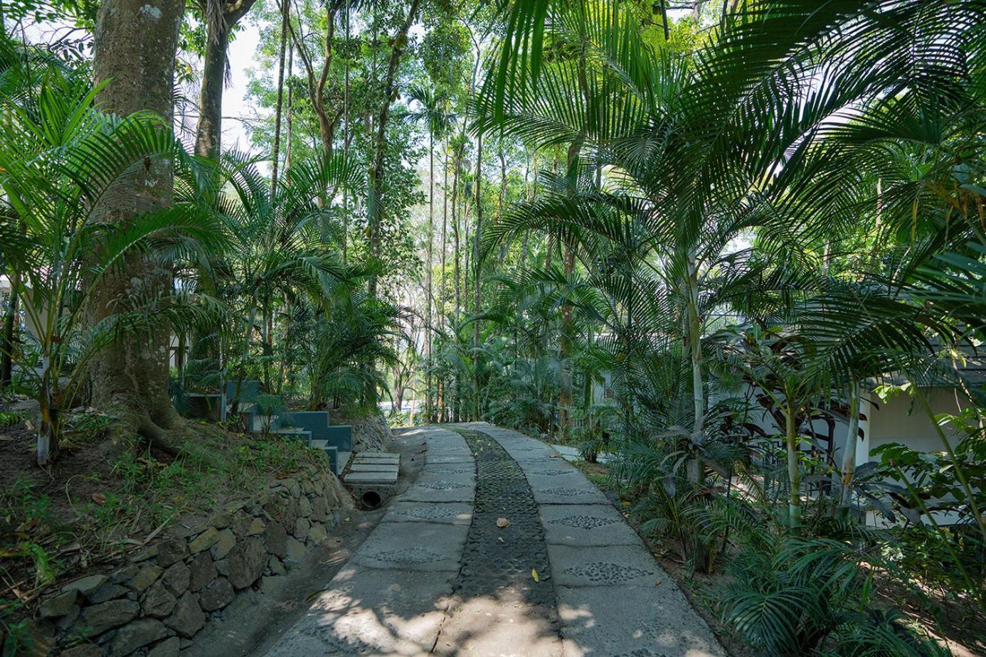 Hotel The Hive, Wayanad Esterno foto