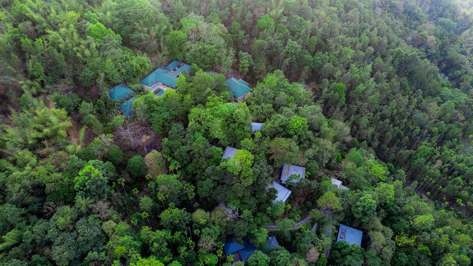 Hotel The Hive, Wayanad Esterno foto