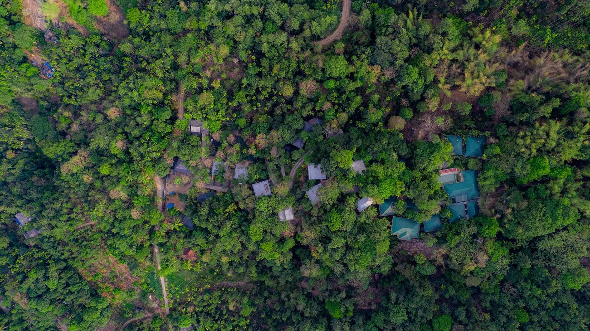 Hotel The Hive, Wayanad Esterno foto
