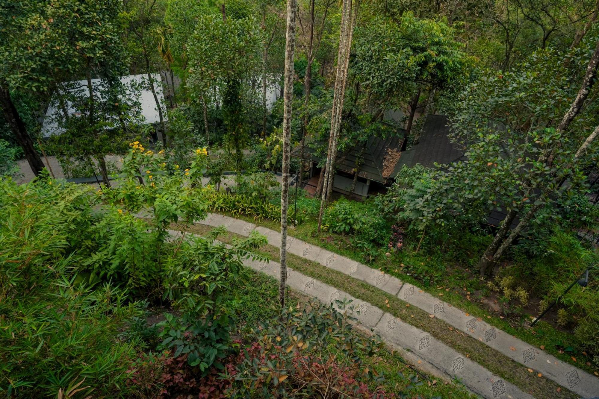 Hotel The Hive, Wayanad Esterno foto