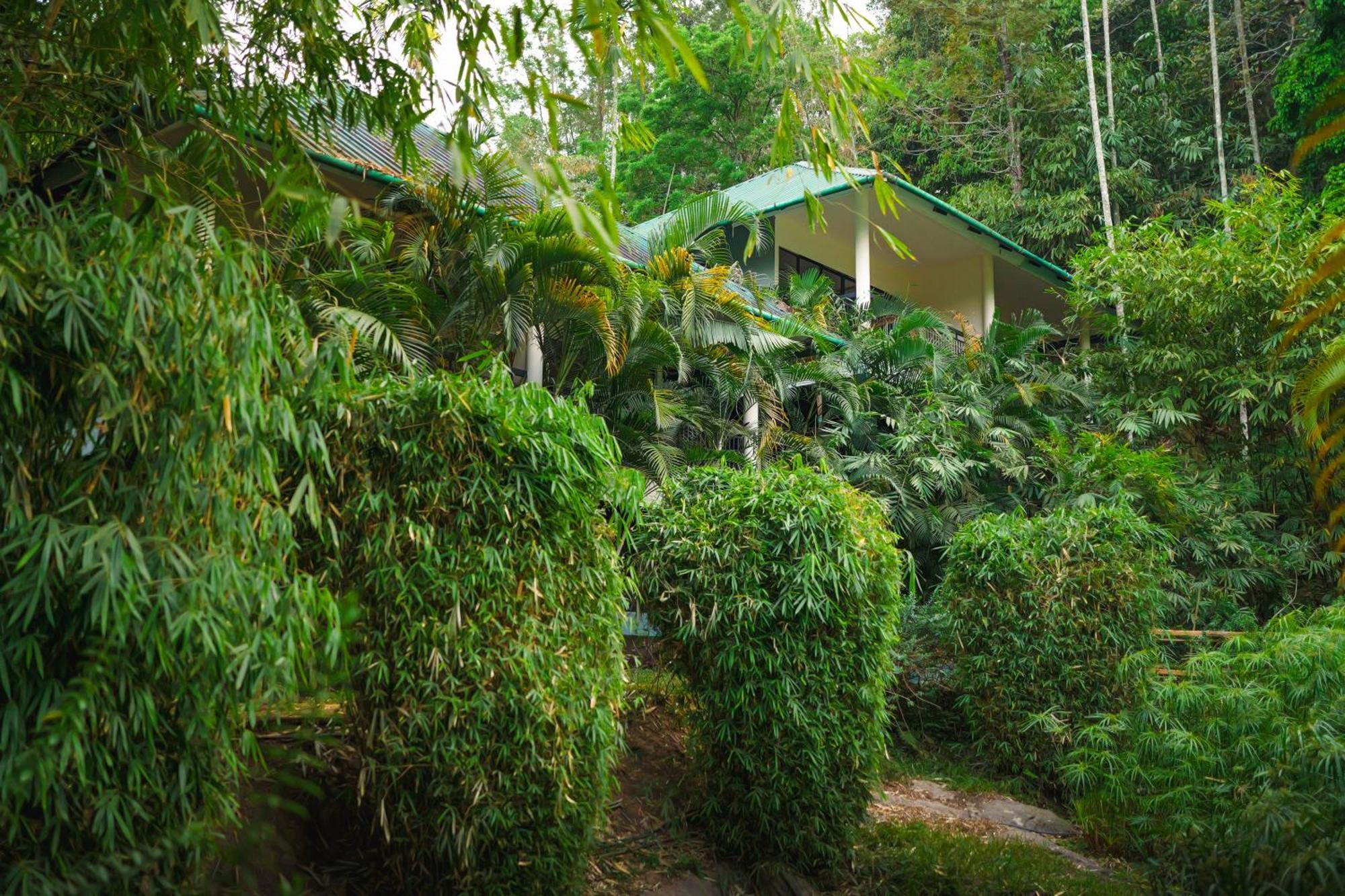 Hotel The Hive, Wayanad Esterno foto